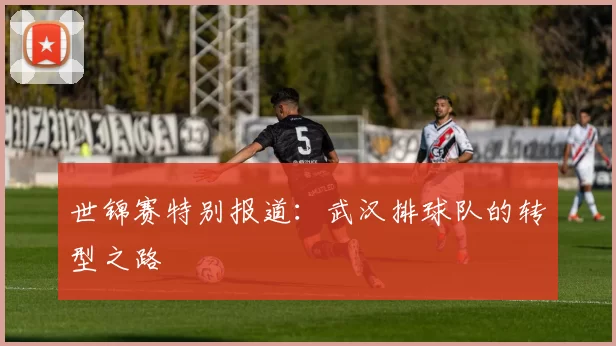 世锦赛特别报道：武汉排球队的转型之路