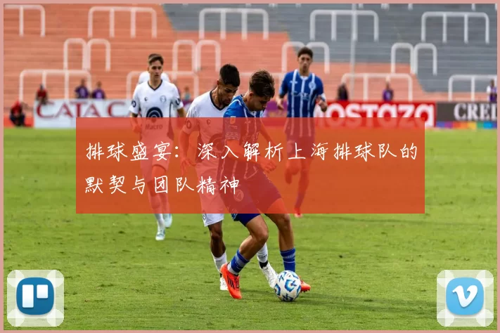 排球盛宴：深入解析上海排球队的默契与团队精神