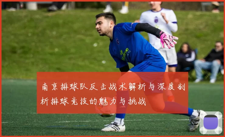 南京排球队反击战术解析与深度剖析排球竞技的魅力与挑战