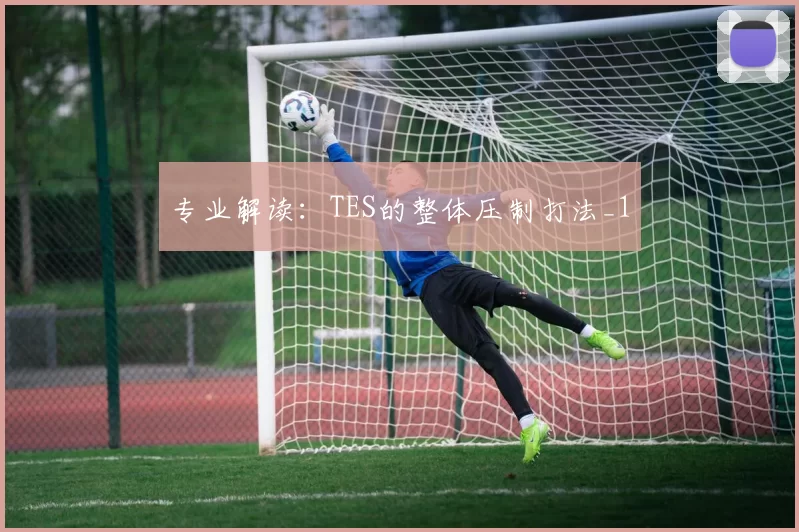 专业解读：TES的整体压制打法_1